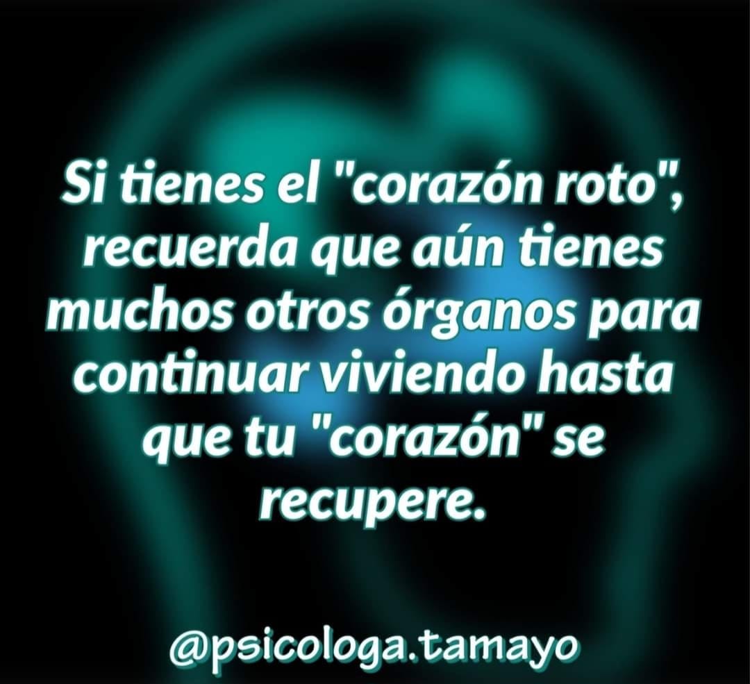 0639593b-c26f-496f-92ea-826b4dbf1cc2