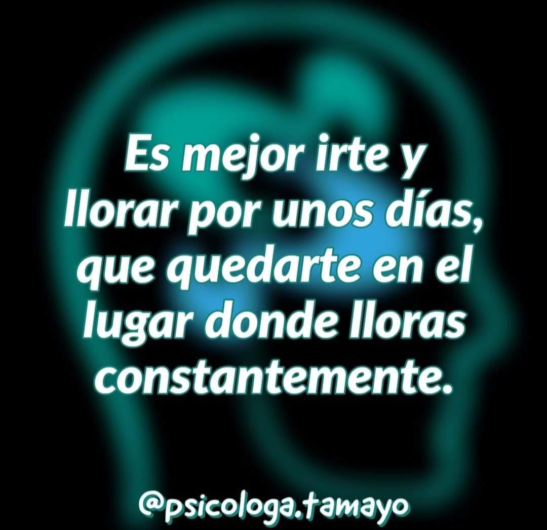 f3e4eab1-91be-4bf5-9f2e-93041a2c0b03